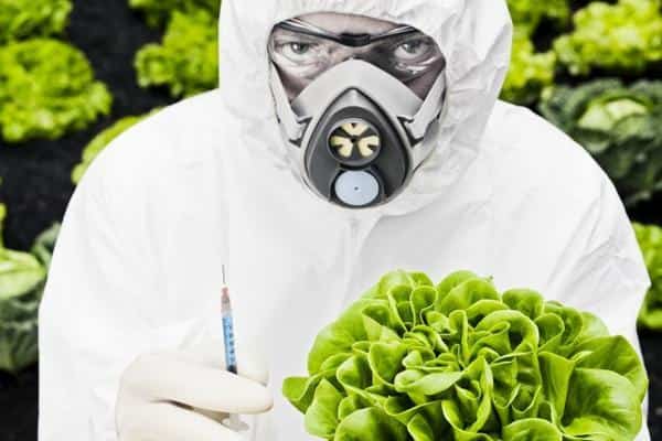 Bayer-Monsanto - Διατροφικός Εφιάλτης προ των Πυλών!