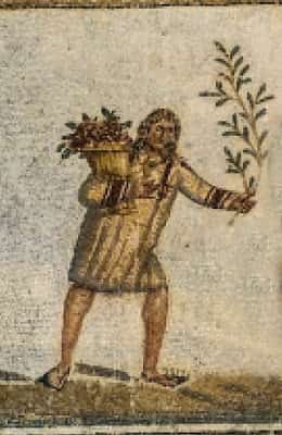 Πως Έφτιαχναν τις Φαγώσιμες Ελιές οι Έλληνες κατά την αρχαιότητα .