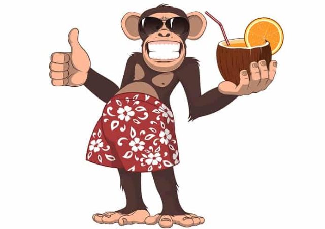 Μαϊμού με ένα κοκτέιλ στο χέρι, με παρεό και γυαλιά