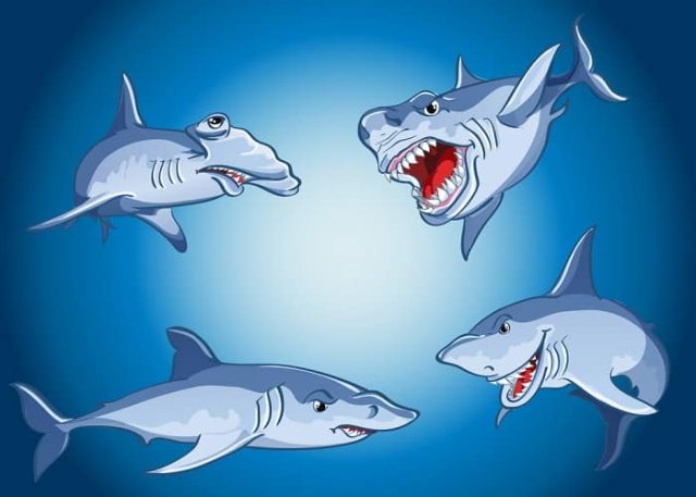 4 καρχαρίες